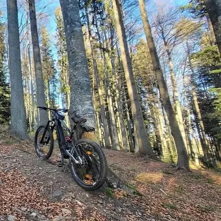 Διαμέρισμα Forest Pohorje Hočko Pohorje