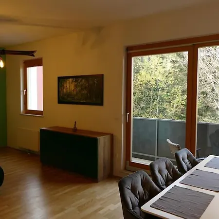 Forest Pohorje Apartma Hocko Pohorje