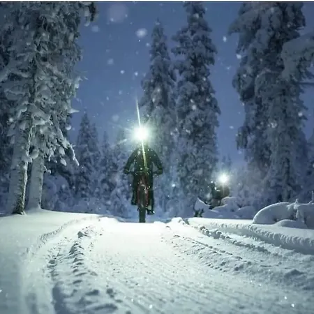 Forest Pohorje * Hočko Pohorje