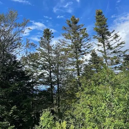 Διαμέρισμα Forest Pohorje *