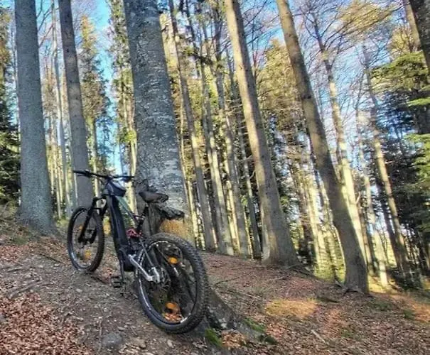 Lejlighed Forest Pohorje Hočko Pohorje