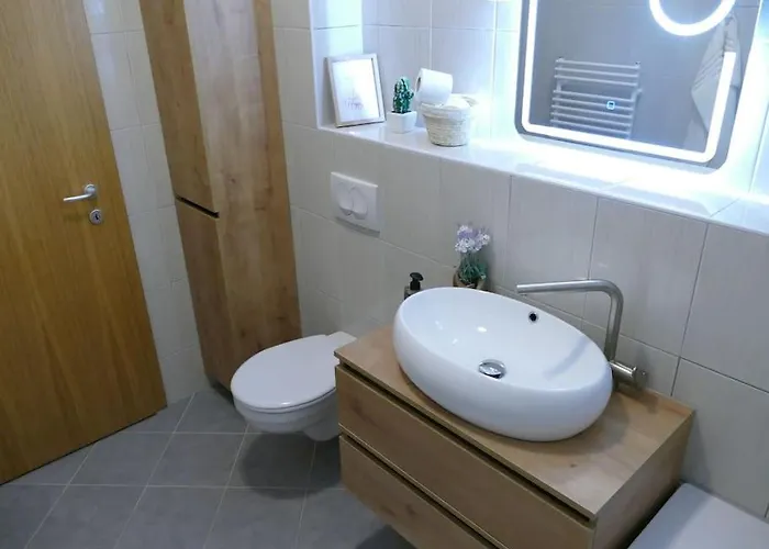 Lejlighed Forest Pohorje *